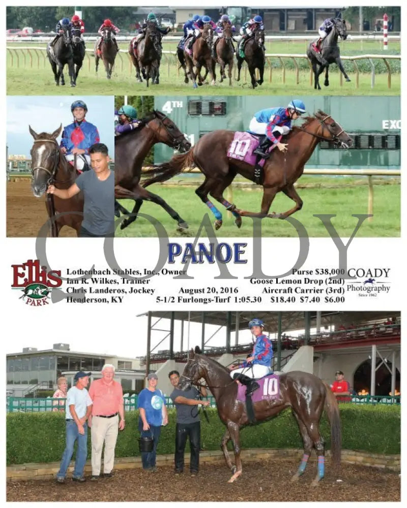 Panoe - 082016 Race 09 Elp Ellis Park