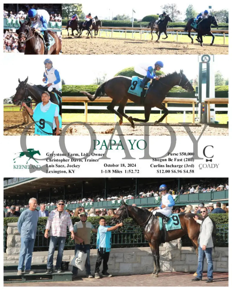 Papa Yo - 10-18-24 R06 Kee Keeneland
