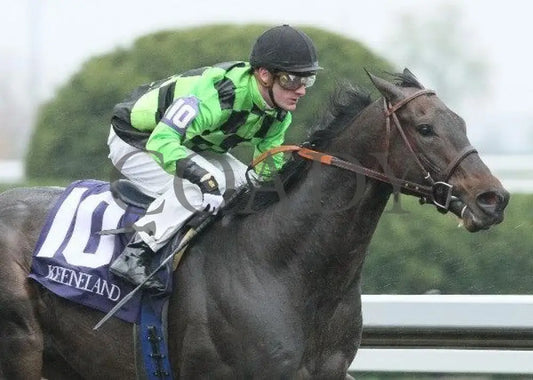Papaw Bodie - 2 102611 Race 05 Keeneland