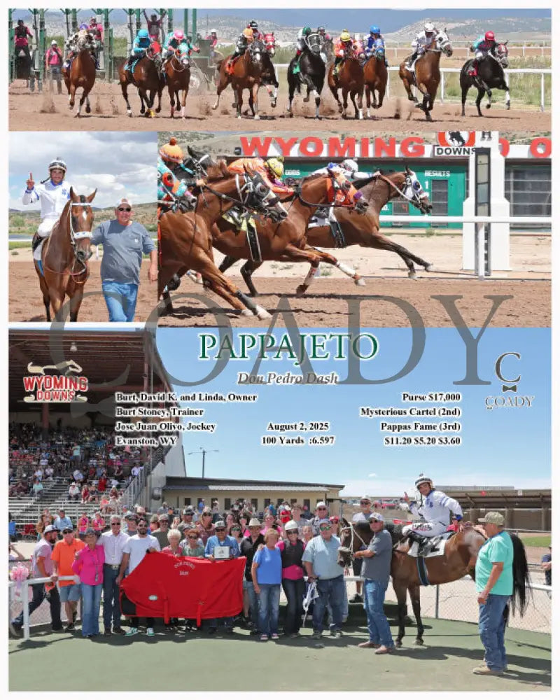 PAPPAJETO - Don Pedro Dash - 08-02-25 - R04 - WYO Wyoming Downs
