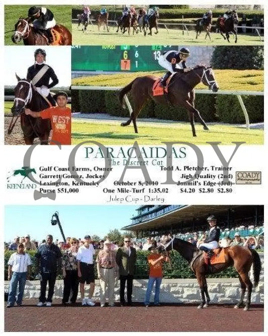 Paracaidas - The Discreet Cat Keeneland