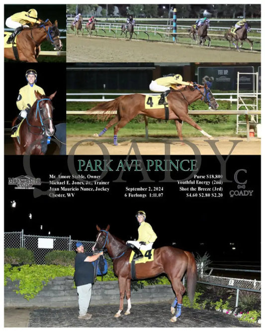 Park Ave Prince - 09-02-24 R06 Mnr Mountaineer Park