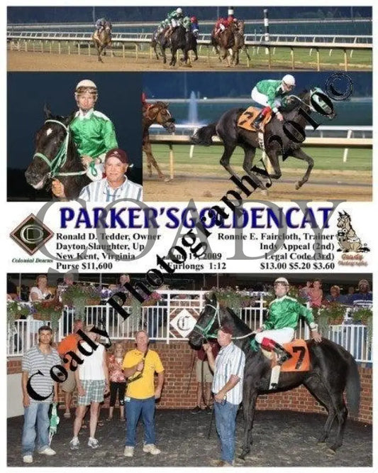 Parker Sgoldencat - 6 19 2009 Colonial Downs