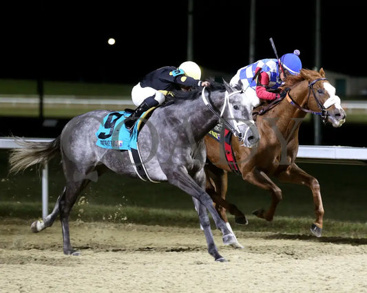 Paros - 121424 Race 06 Tp The Prairie Bayou Finish 02 Turfway Park