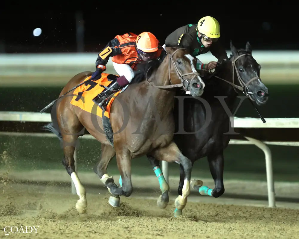 PARTY TIME FOR ME - Autumn WVB Overnight - 08-22-25 - R12 - CT - Finish 02 Hollywood Casino at Charles Town Races