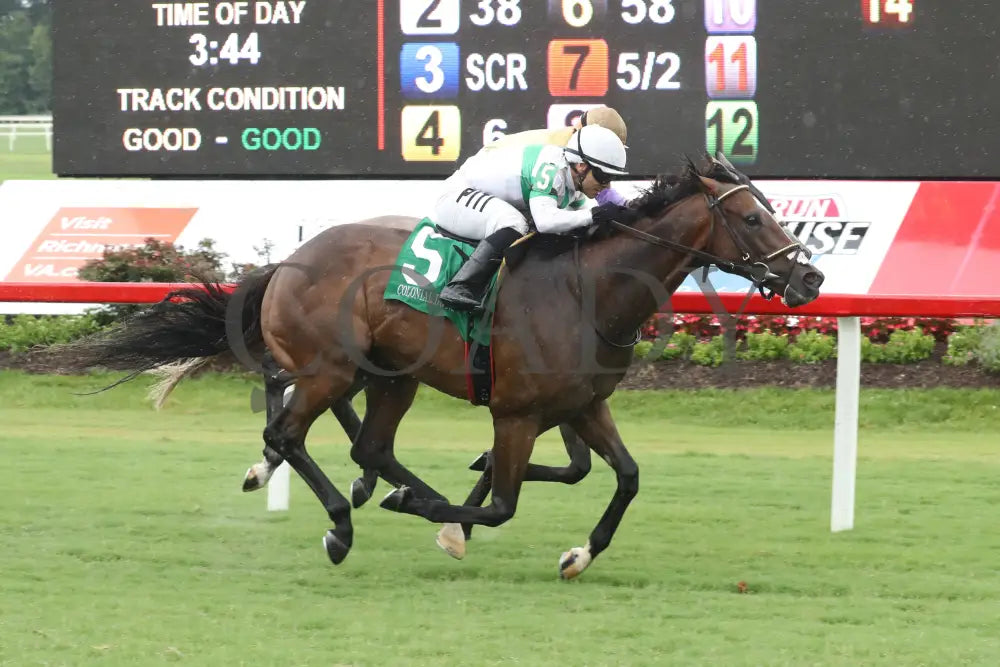 Passion Play - The Edward P Evans Stakes 07-20-24 R05 Colonial Downs Finish Mark Flanders.jpg