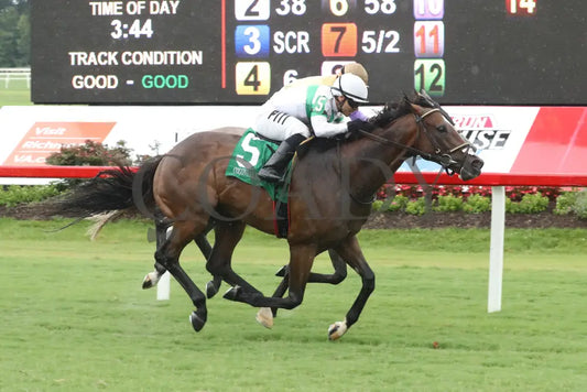 Passion Play - The Edward P Evans Stakes 07-20-24 R05 Colonial Downs Finish Mark Flanders.jpg