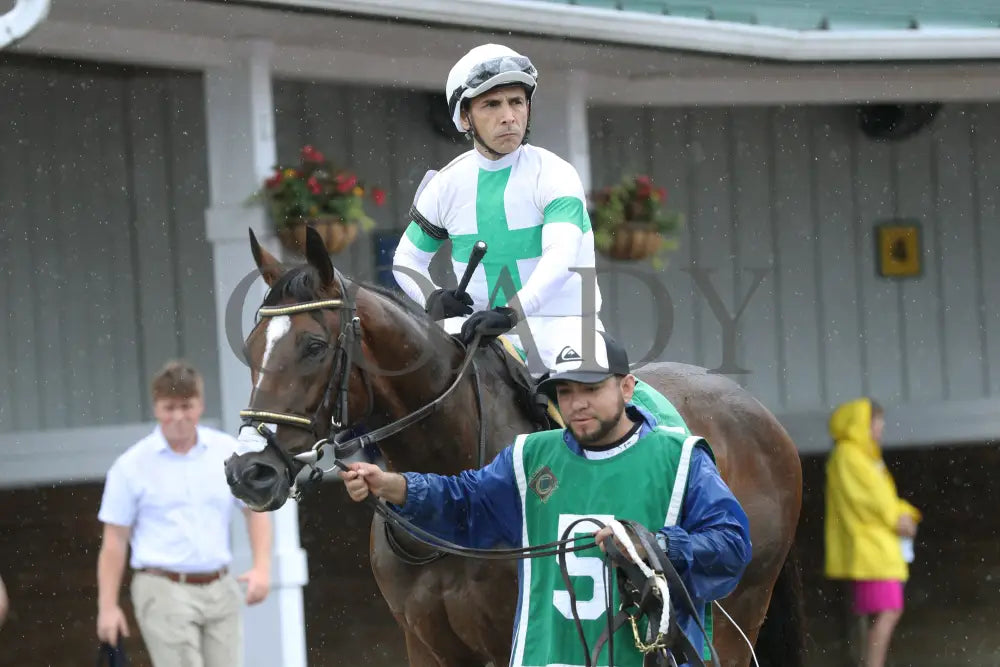 Passion Play - The Edward P Evans Stakes 07-20-24 R05 Colonial Downs Paddock Nick Phillips.jpg