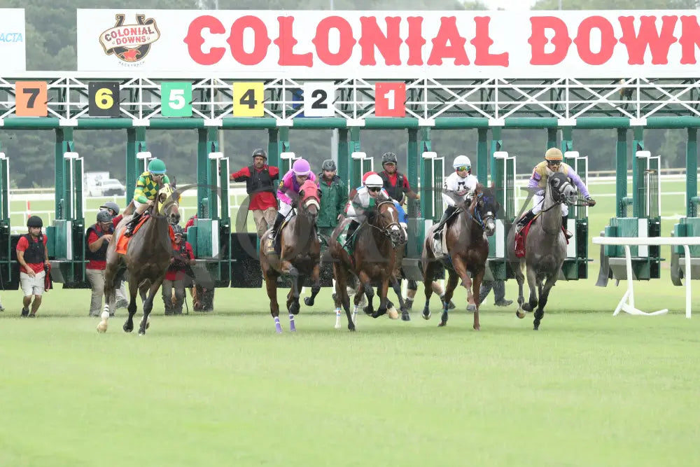 Passion Play - The Edward P Evans Stakes 07-20-24 R05 Colonial Downs Starting Gate Mark Flanders.jpg