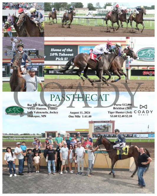 Passthecat - 08-11-24 R06 Cby Ellis Park