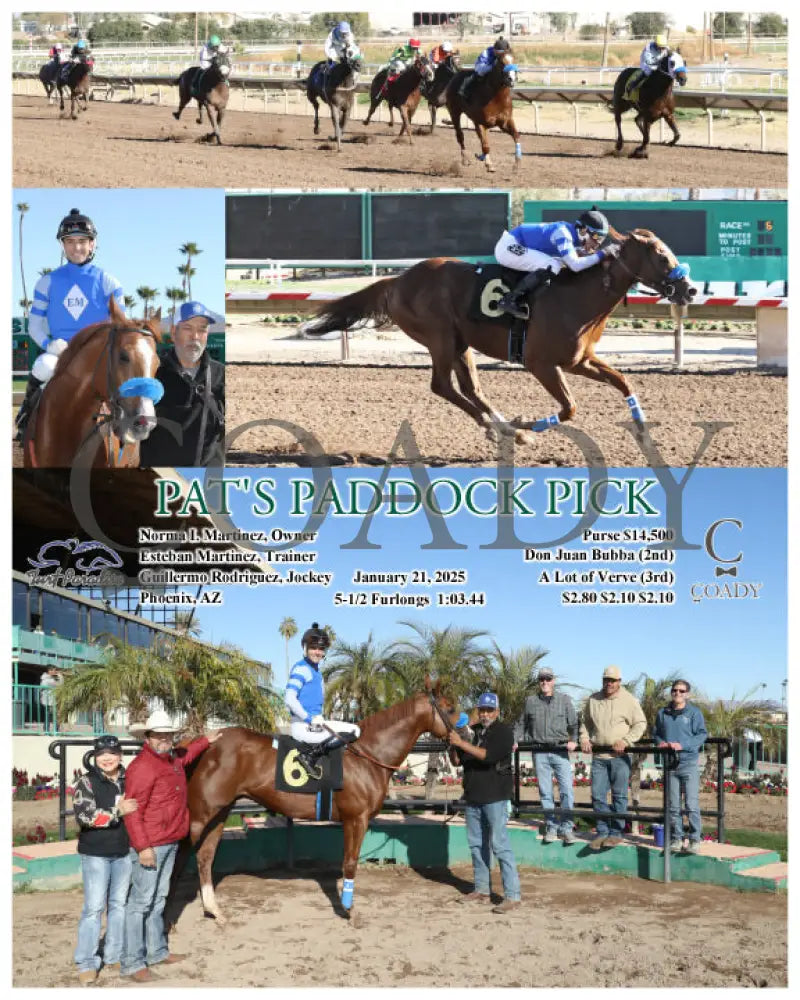 Pat’s Paddock Pick - 01-21-25 R06 Tup Turf Paradise