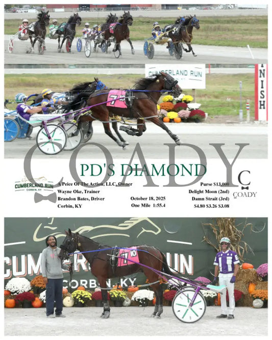 PD’S DIAMOND - 101825 - Race 10 - CMR Presque Isle Downs