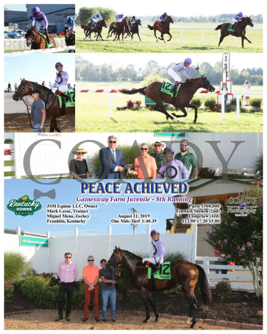 Peace Achieved - Gainesway Farm Juvenile 8Th Running 08-31-19 R10 Kd Kentucky Downs