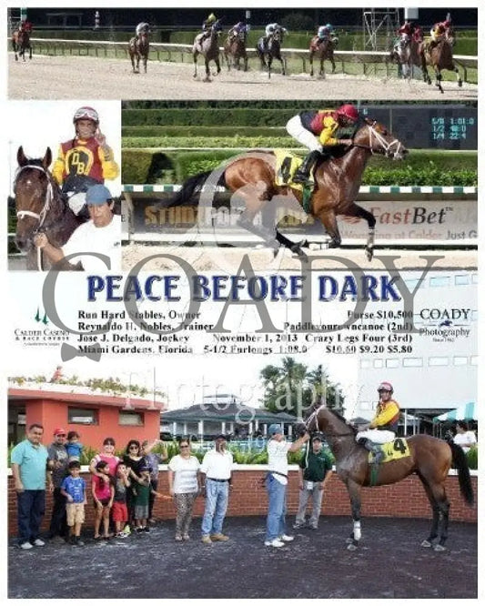 Peace Before Dark - 110113 Race 06 Crc Calder Course