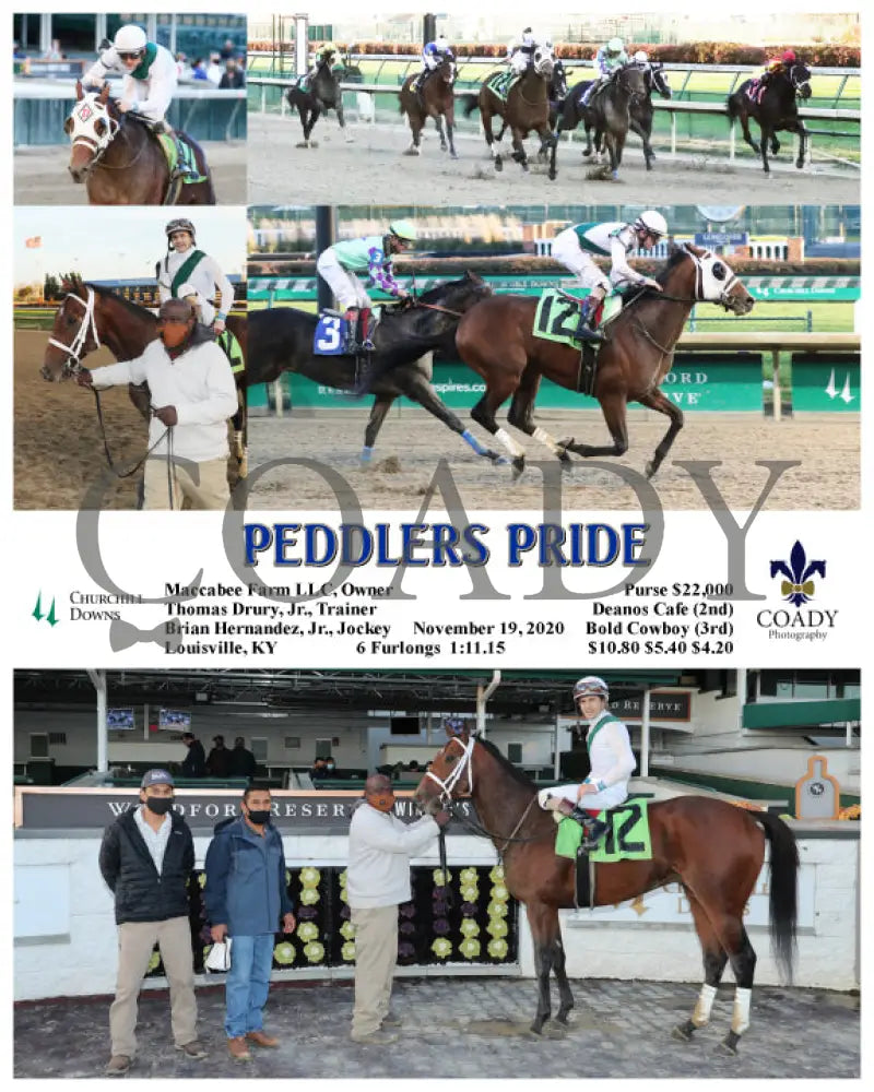 Peddlers Pride - 11-19-20 R09 Cd Churchill Downs