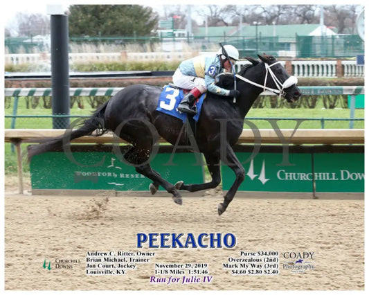 Peekacho - 11-29-19 R05 Cd Action Churchill Downs