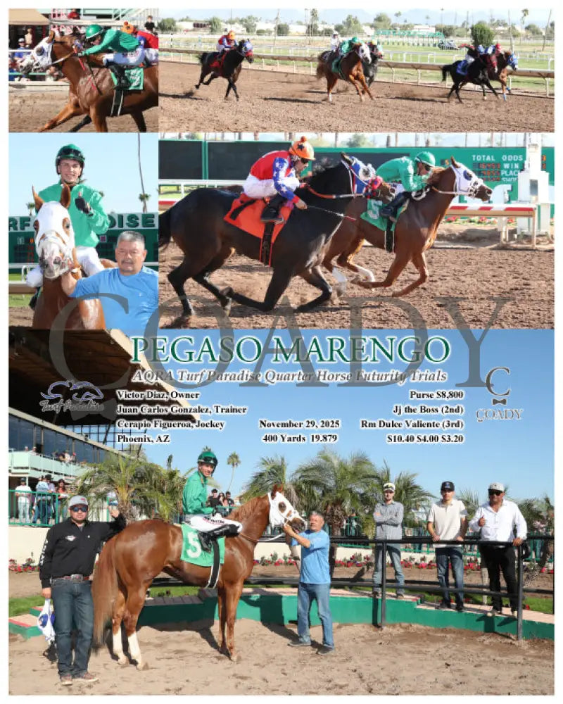 PEGASO MARENGO - AQRA Turf Paradise Quarter Horse Futurity Trials - 11-29-25 - R05 - TUP - Coady Media - Kurtis Coady Photography