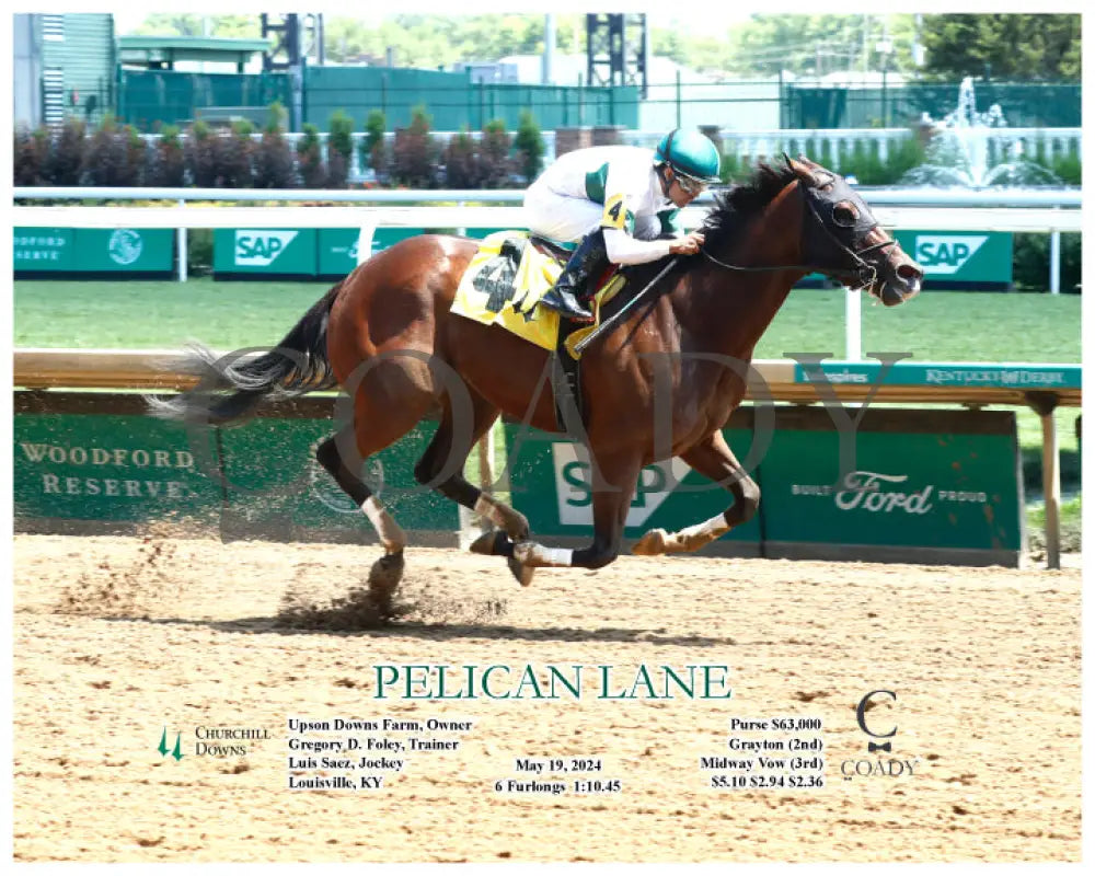 Pelican Lane - 05-19-24 R05 Cd Action Churchill Downs