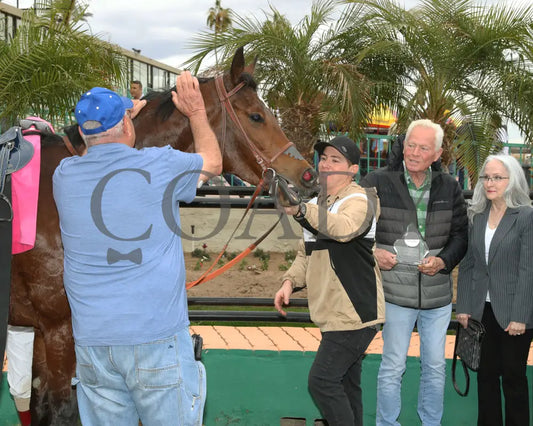 Pepper Mill - Jeff & Jack Coady Sr Stakes 02-01-24 R09 Turf Paradise 002