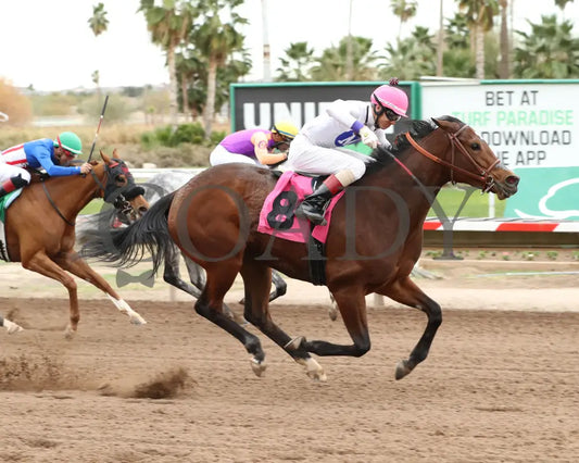 Pepper Mill - Jeff & Jack Coady Sr Stakes 02-01-24 R09 Turf Paradise Finish