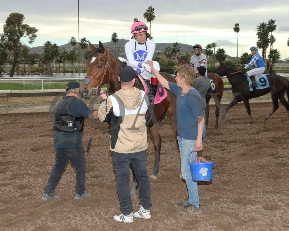 Pepper Mill - Jeff & Jack Coady Sr Stakes 02-01-24 R09 Turf Paradise Return Shot 2