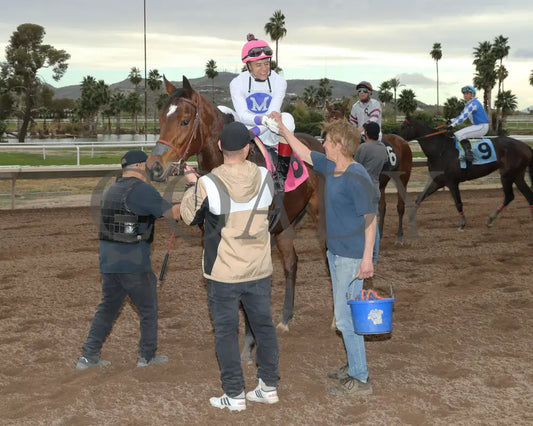 Pepper Mill - Jeff & Jack Coady Sr Stakes 02-01-24 R09 Turf Paradise Return Shot 2