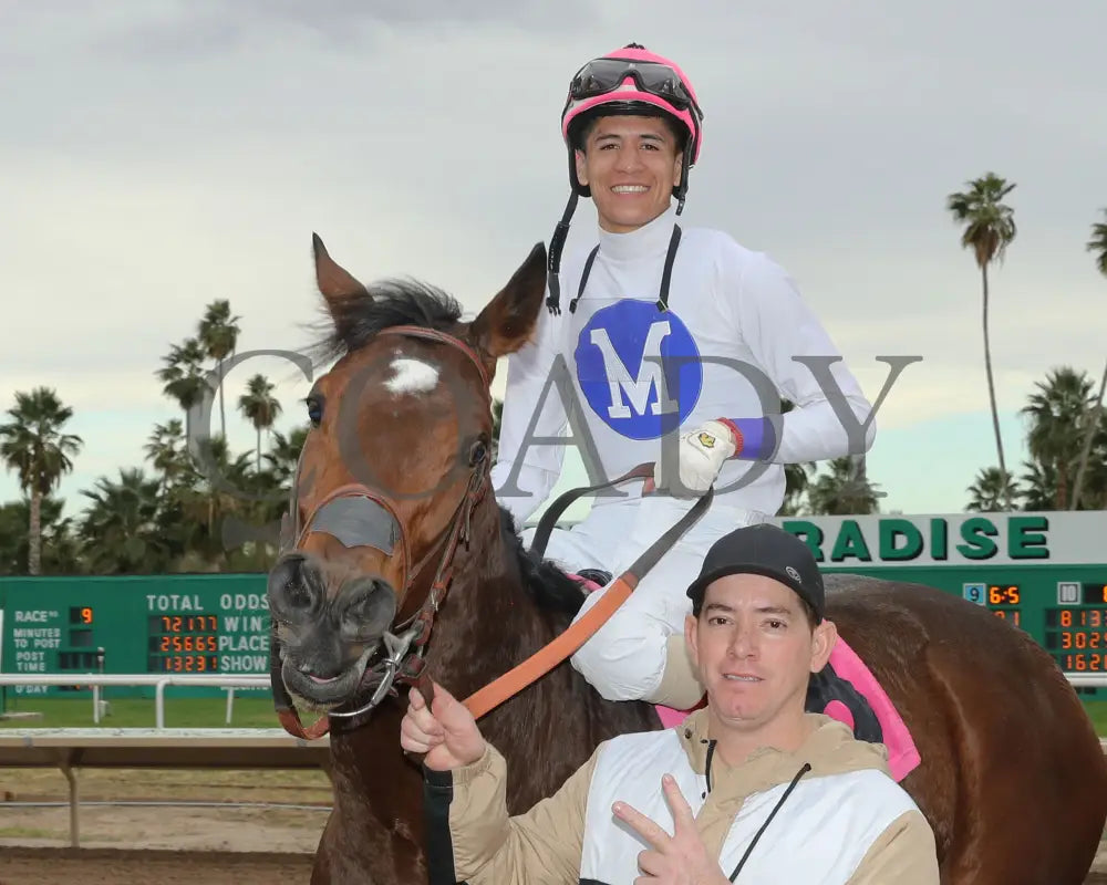 Pepper Mill - Jeff & Jack Coady Sr Stakes 02-01-24 R09 Turf Paradise Return Shot