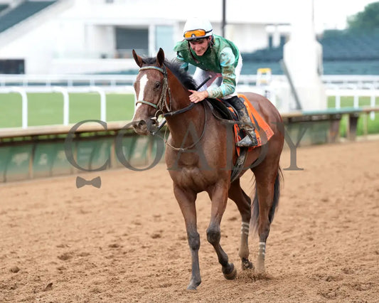 PERCY’S BAR - 062925 - Race 07 - CD - Come Back 01 Churchill Downs