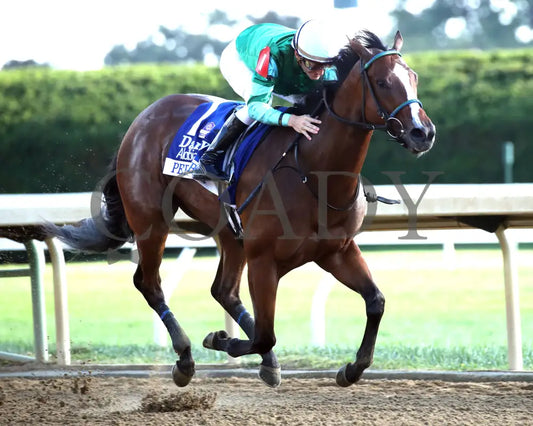 Percy's Bar - The Darley Alcibiades G1 - 10-03-25 - R09 - Keeneland Race Course - Finish 01 - Stephan Ibanez - Coady Media - Kurtis Coady Photography