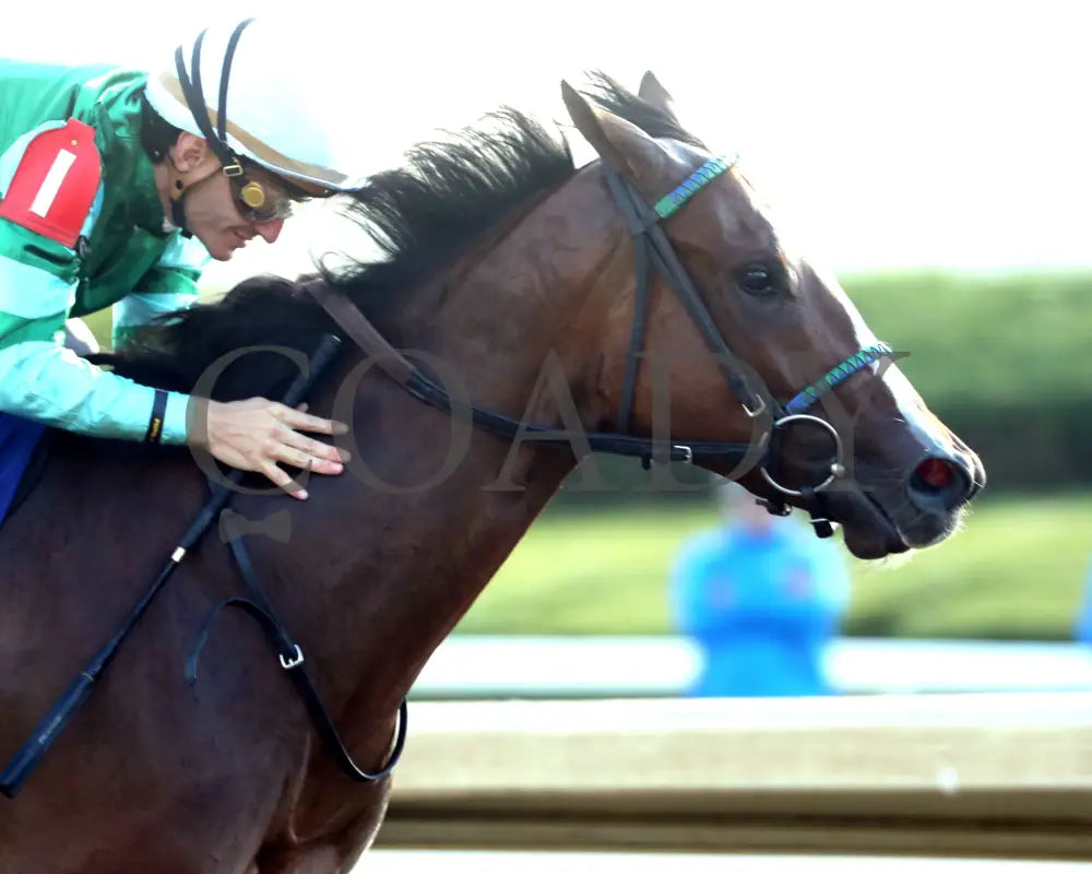 Percy’s Bar - The Darley Alcibiades G1 - 10-03-25 - R09 - Keeneland Race Course - Finish 02 Keeneland