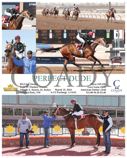 Perfect Dude - 03 - 15 - 24 R08 Sun Sunland Park