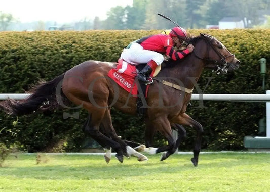 Perfect Officer - 041412 Race 10 Fin Keeneland