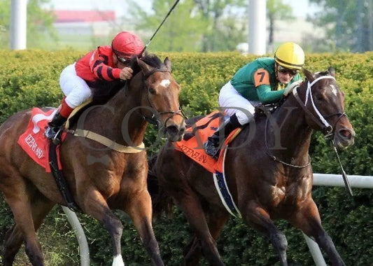 Perfect Officer - 041412 Race 10 Tight Fin Keeneland