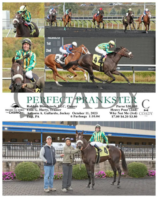 Perfect Prankster - 10-11-23 R03 Pid Presque Isle Downs