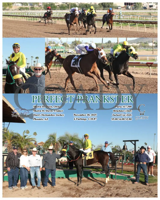 PERFECT PRANKSTER - 11-28-25 - R05 - TUP Turf Paradise