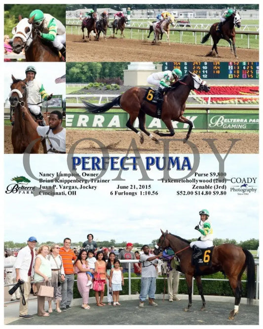Perfect Puma - 062115 Race 06 Btp Belterra Park