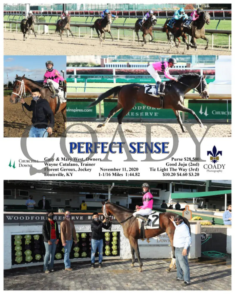 Perfect Sense - 11-11-20 R06 Cd Churchill Downs