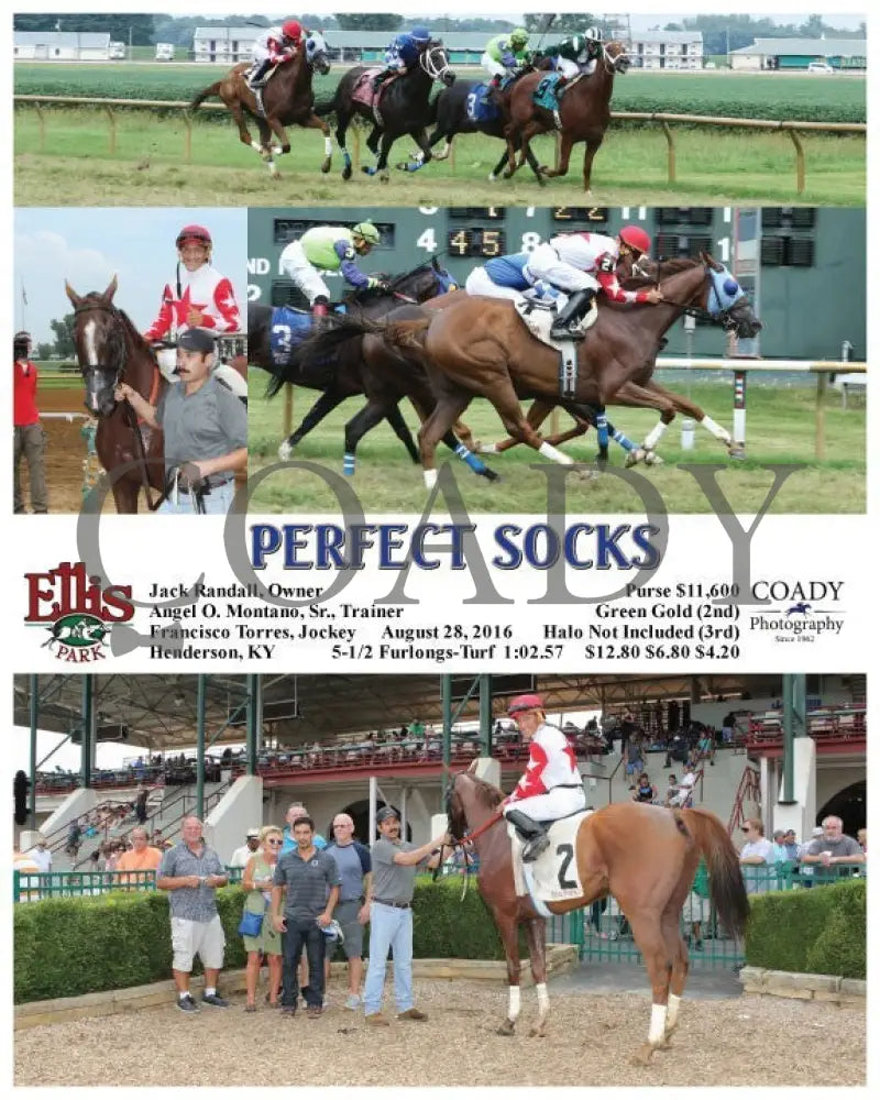 PERFECT SOCKS - 082816 - Race 06 - ELP - Coady Media - Kurtis Coady Photography