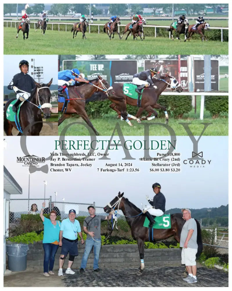 Perfectly Golden - 08-14-24 R02 Mnr Mountaineer Park