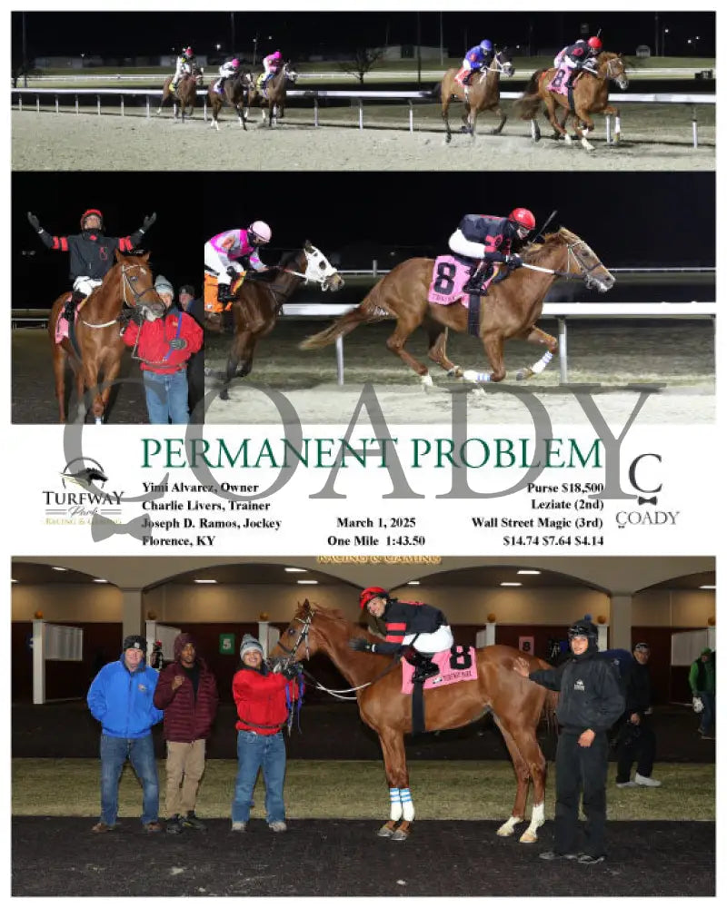 PERMANENT PROBLEM - 03-01-25 - R09 - TP Turfway Park