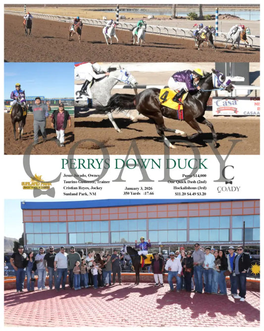 PERRYS DOWN DUCK - 01-03-26 - R04 - SUN - Coady Media - Kurtis Coady Photography