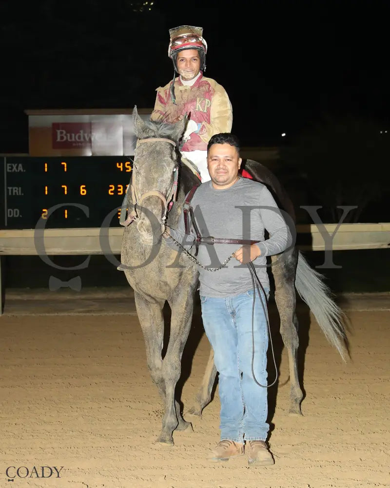 PETTY PERFECT - West Virginia Cavada Breeders’ Classic Stakes - 10-11-25 - R08 - CT - Come Back 01 Hollywood Casino at