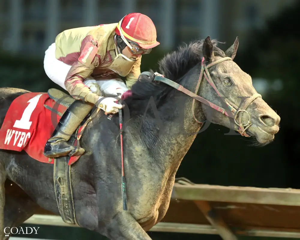 PETTY PERFECT - West Virginia Cavada Breeders’ Classic Stakes - 10-11-25 - R08 - CT - Finish 03 Hollywood Casino at