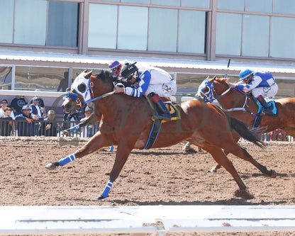 Pevs Charley - The 35Th Running Of West Texas Maturity Trials 03 - 10 - 24 R04 Sun Sunland Park
