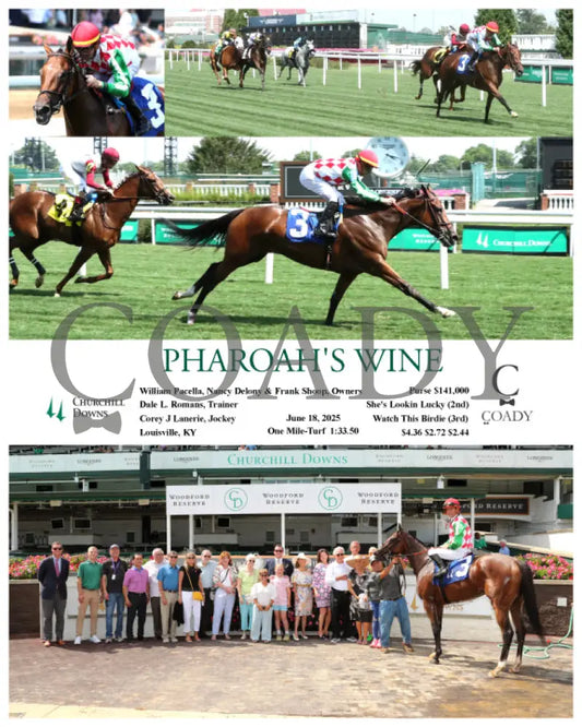 PHAROAH’S WINE - 06-18-25 - R08 - CD Churchill Downs