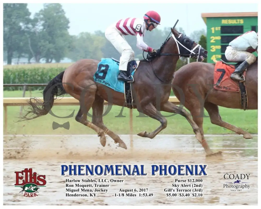 Phenomenal Phoenix - 080617 Race 03 Elp A Ellis Park