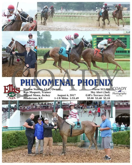 Phenomenal Phoenix - 080617 Race 03 Elp Ellis Park
