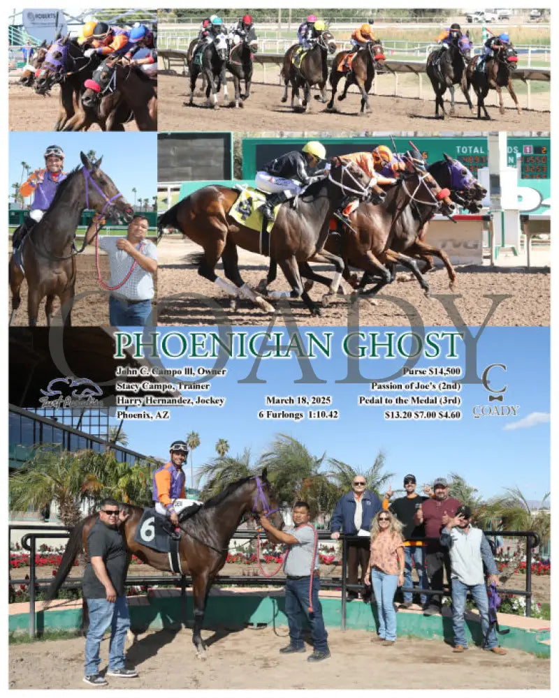 PHOENICIAN GHOST - 03-18-25 - R06 - TUP Turf Paradise