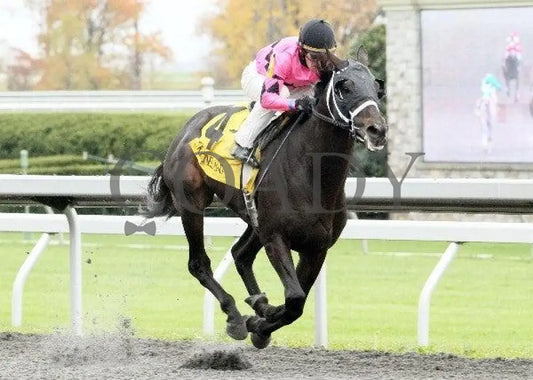 Photo Shoot - 1 102811 Race 04 Keeneland