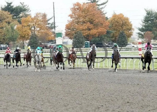 Photo Shoot - 2 102811 Race 04 Keeneland